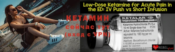 прущие грибы Нефтекумск