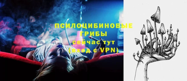 2c-b Гусиноозёрск