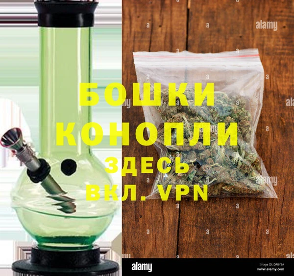 трава Гусев