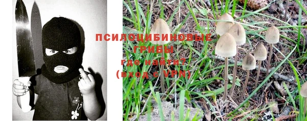 mdpv Усолье-Сибирское