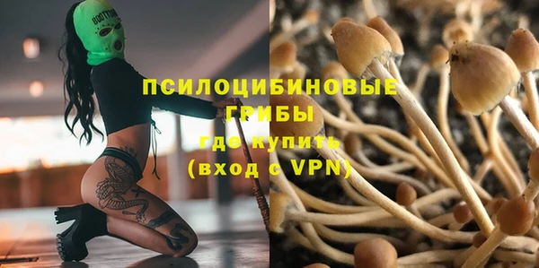 прущие грибы Нефтекумск